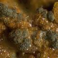  Goethite - Veine de la Ferme Roche - Mines d'Orpierre - Orpierre - Gap - Hautes-Alpes