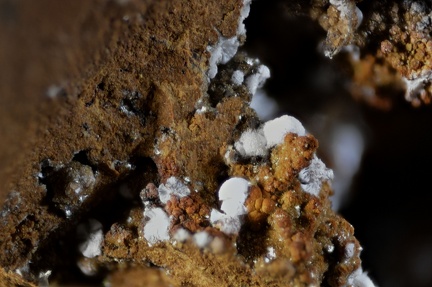 Hydrozincite - Veine de la Ferme Roche - Mines d'Orpierre - Orpierre - Gap - Hautes-Alpes