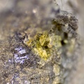 Greenockite - Veine Les Turcs - Mines d'Orpierre - Orpierre - Gap - Hautes-Alpes