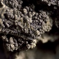  Schalenblende - Veine Les Turcs - Mines d'Orpierre - Orpierre - Gap - Hautes-Alpes