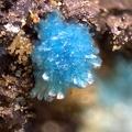 Serpierite - La Sanguinède - Les Malines - St Laurent Le Minier - Gard