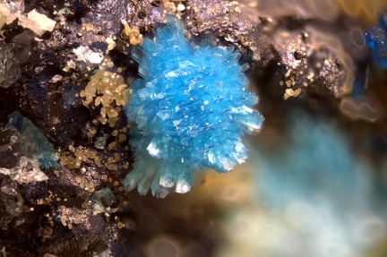 Serpierite - La Sanguinède - Les Malines - St Laurent Le Minier - Gard