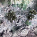 Ktenasite  - La Sanguinède - Les Malines - St Laurent Le Minier - Gard