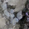 Hydrozincite - La Sanguinède - Les Malines - St Laurent Le Minier - Gard