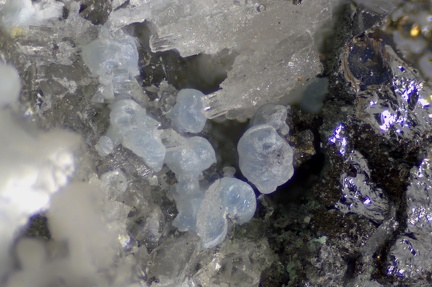 Hydrozincite - La Sanguinède - Les Malines - St Laurent Le Minier - Gard
