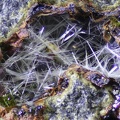 Actinolite - Vallée de la Papenoo - Tahiti - Polynésie française