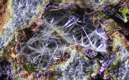 Actinolite - Vallée de la Papenoo - Tahiti - Polynésie française