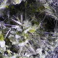 Actinolite - Vallée de la Papenoo - Tahiti - Polynésie française