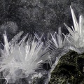 Aragonite - Vallée de la Papenoo - Tahiti - Polynésie française