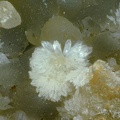 n°107083 - Hémimorphite sur Smithsonite - Mine de La joie - Saint Cierge la Serre - Ardèche