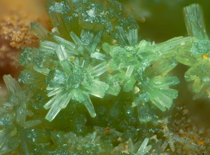 n°107084 - Pyromorphite - Mine de La joie - Saint Cierge la Serre - Ardèche