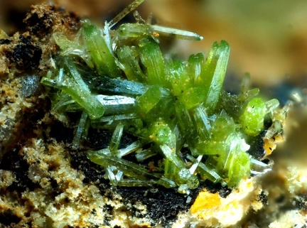 n°107085 - Pyromorphite - Mine de La joie - Saint Cierge la Serre - Ardèche