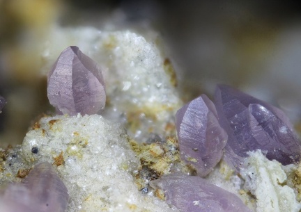n°115086 - Quartz (var.améthyste ) - Les Chazes -  Saint Jacques des Blats - Cantal	