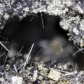 n°144024 - Pyrite filaire - Bois de la Roche (carrière) - Saint Aubin-des-Châteaux -  Loire-Atlantique