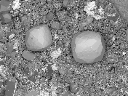 n°142132 - FLUORITE- Carrière des Gottes - Saint Julien Molin Molette - Loire