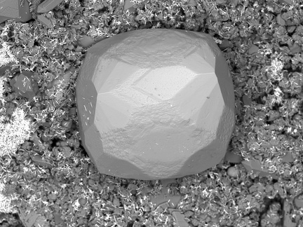 n°142132 - FLUORITE- Carrière des Gottes - Saint Julien Molin Molette - Loire