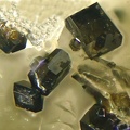 n°165051 - Anatase Quartz - La Bouleste - Arrens-Marsous - Hautes-Pyrénées