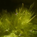 n°197057 - Epidote-Ca - Bras de Cilaos - Cirque de Cilaos - La Réunion