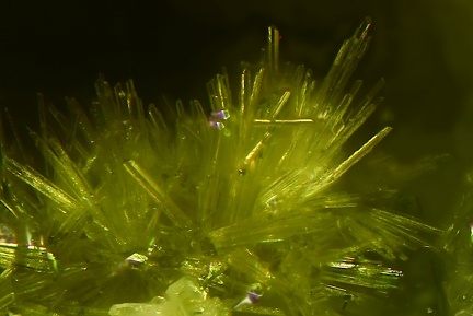 n°197057 - Epidote-Ca - Bras de Cilaos - Cirque de Cilaos - La Réunion