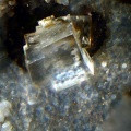 n°196053 - Chabazite - Ile de Raivavae - Iles Australes - Polynésie Française