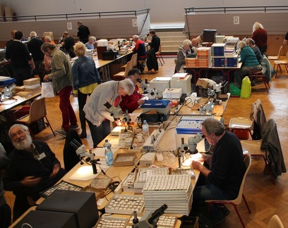 40e Assemblée Générale Ordinaire de l’AFM à Viriat  (Ain)  samedi 28 et dimanche 29 octobre 2023 - Salle  des fêtes