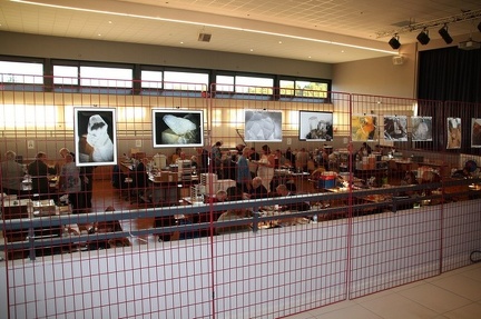 40e Assemblée Générale Ordinaire de l’AFM à Viriat  (Ain)  samedi 28 et dimanche 29 octobre 2023 - Salle  des fêtes
