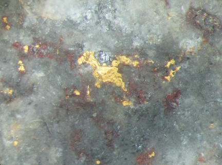 Or natif sur Quartz - Le Sattel  - District minier du Silberwald  -  Stosswihr -  Colmar-Ribeauvillé -  Haut-Rhin
