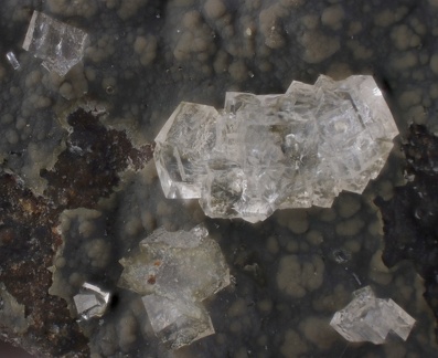n° 115076 - Chabazite-Ca Offrétite - La Grange de Ganilh - Lavessière - Cantal