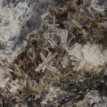 n° 163279 - Phillipsite Magnétite Sidérite - Piste Bleue - Chemin de Ronde - Besse-et-St-Anastaise - Puy-de-Dôme