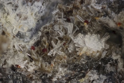 n° 163279 - Phillipsite Magnétite Sidérite - Piste Bleue - Chemin de Ronde - Besse-et-St-Anastaise - Puy-de-Dôme