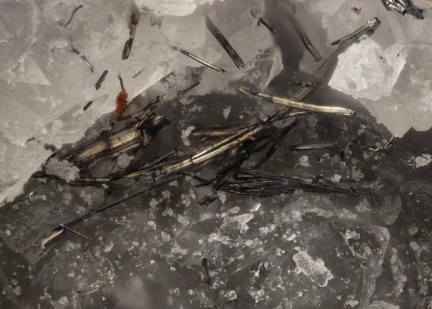 n°168110 - Bismuthinite Quartz - Fanny(Mine) - Kruth - Haut-Rhin