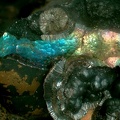 Goethite Irisée - Le Kaymar - Aveyron - 