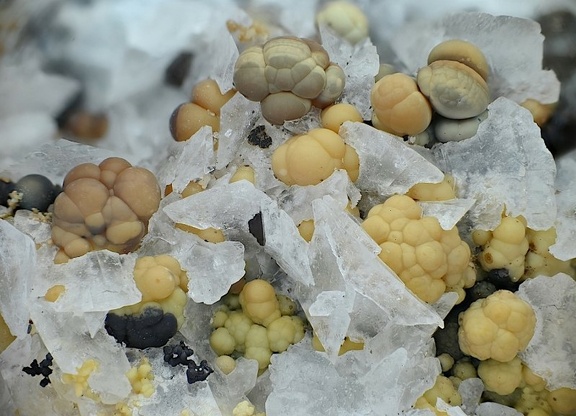 Sphalerite  - Carrière de La Caravantié - Peyrebrune - Montredon-Labessonnié - Castres - Tarn
