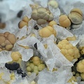Sphalerite  - Carrière de La Caravantié - Peyrebrune - Montredon-Labessonnié - Castres - Tarn