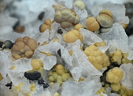 Sphalerite  - Carrière de La Caravantié - Peyrebrune - Montredon-Labessonnié - Castres - Tarn