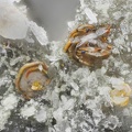 Synchisite - Carrière Buffin - Ampuis - Rhône