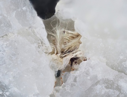 Rutile - Rocher du Bari - Mercus Garrabet - Ariège