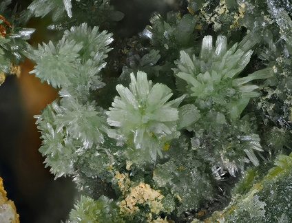 Pyromorphite - Creuzeval - St Didier sur Beaujeu - Rhône