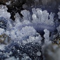 Phosphosiderite - Collioure - Massif des Albères - Pyrénées Orientales 