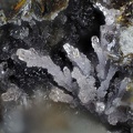 Phosphosiderite - Collioure - Massif des Albères - Pyrénées Orientales 