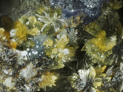 Stewartite - Collioure - Massif des Albères - Pyrénées-Orientales