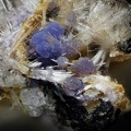 Strengite Strunzite - Collioure - Massif des Albères - Pyrénées-Orientales