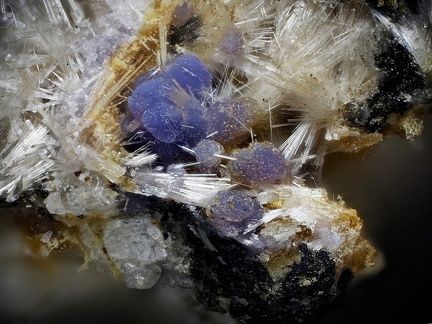 Strengite Strunzite - Collioure - Massif des Albères - Pyrénées-Orientales