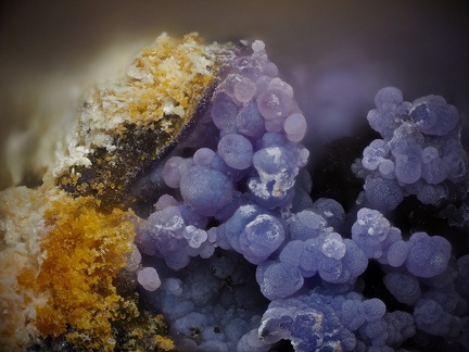 Strengite Strunzite - Collioure - Massif des Albères - Pyrénées-Orientales