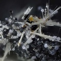 Strunzite Phosphosiderite Eleonorite - Collioure - Massif des Albères - Pyrénées-Orientales