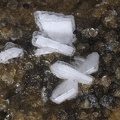 Lanthanite-(Ce) Allophane - Mosset - Prades - Pyrénées-Orientales 