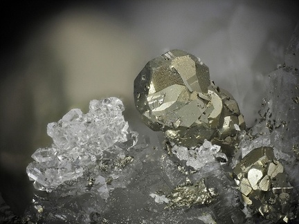 Pyrite Quartz - Mont Roc - Tarn 