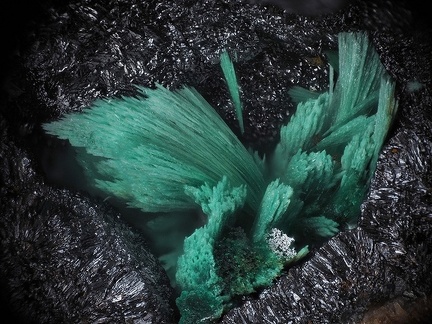 Malachite Goethite - Mont Roc - Tarn