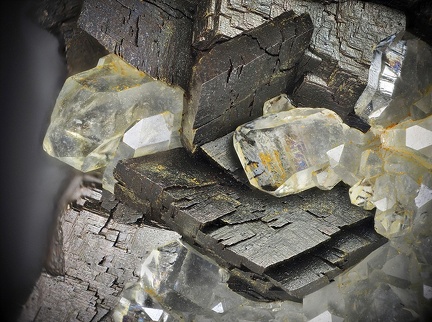 Sidérite Quartz - Mont Roc - Tarn 