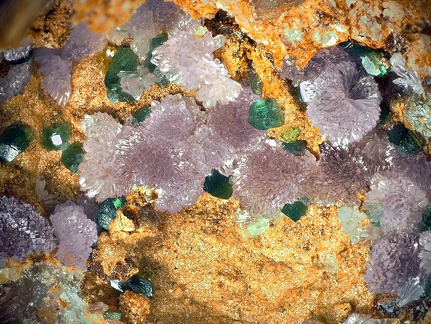 Strengite Torbernite - Le Mazet - Échassières - Ebreuil -  Allier